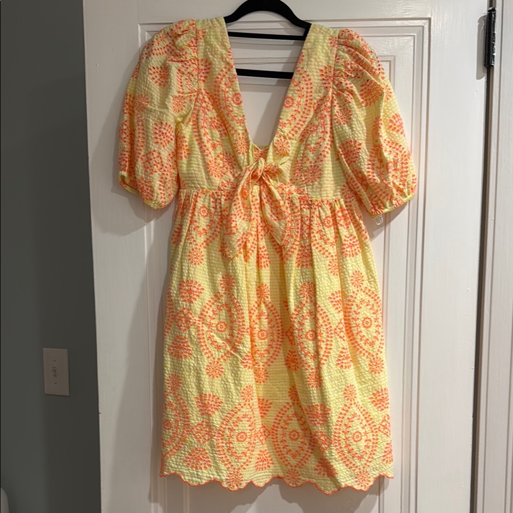 Lilly Pulitzer Embroidered Dress